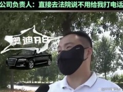 男子贷44万给公司买奥迪2月后被开 忠诚换来失业与债务